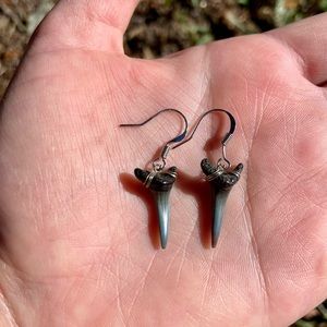 Shark tooth earrings